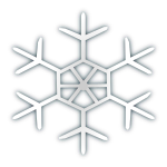 Snow flake icon 4